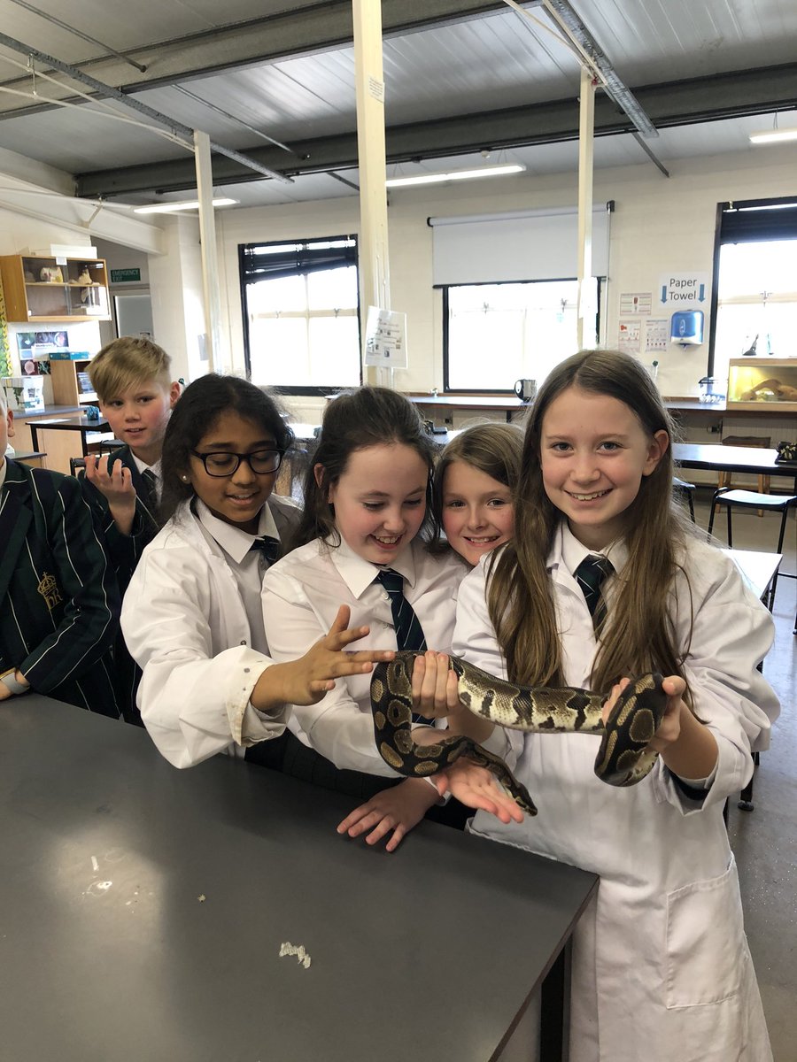 King’s Biology tweet media