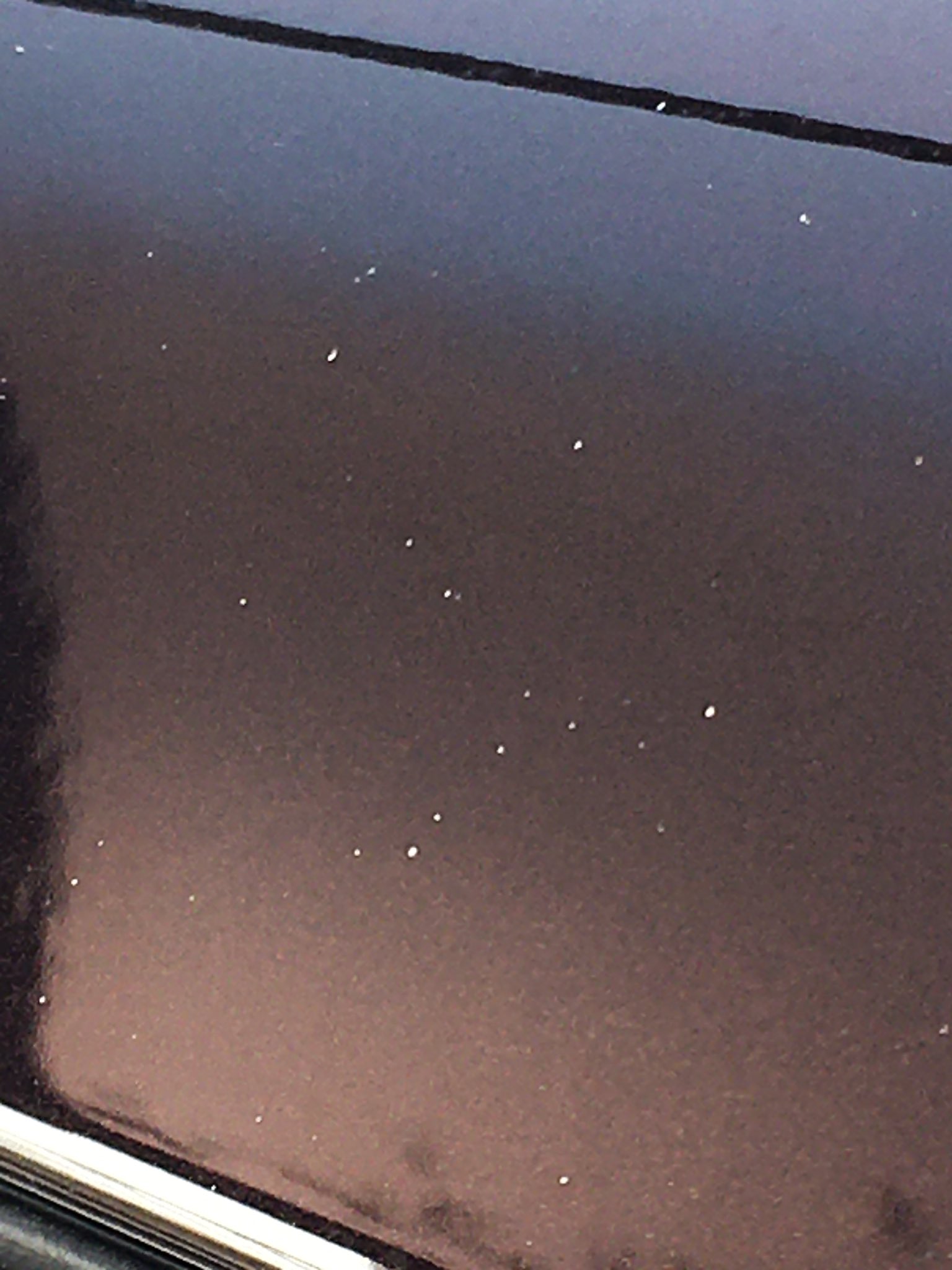 Fozy 車に0 1mmくらいの白い粒がたくさん付着 爪で擦ると剥がれるものの それ自体がベタついていて 剥がれた直後に車体に貼り付いてしまう 洗車機でシャンプー洗車しても落ちないので 初めて粘土クリーナーを使ってみた 落ちた T Co