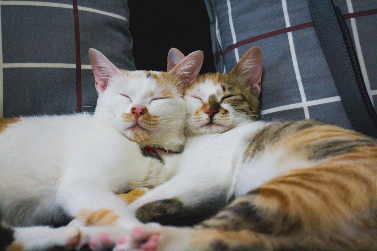 JBJ73303222's tweet photo. Nap time! https://t.co/Lt65XQyAIN