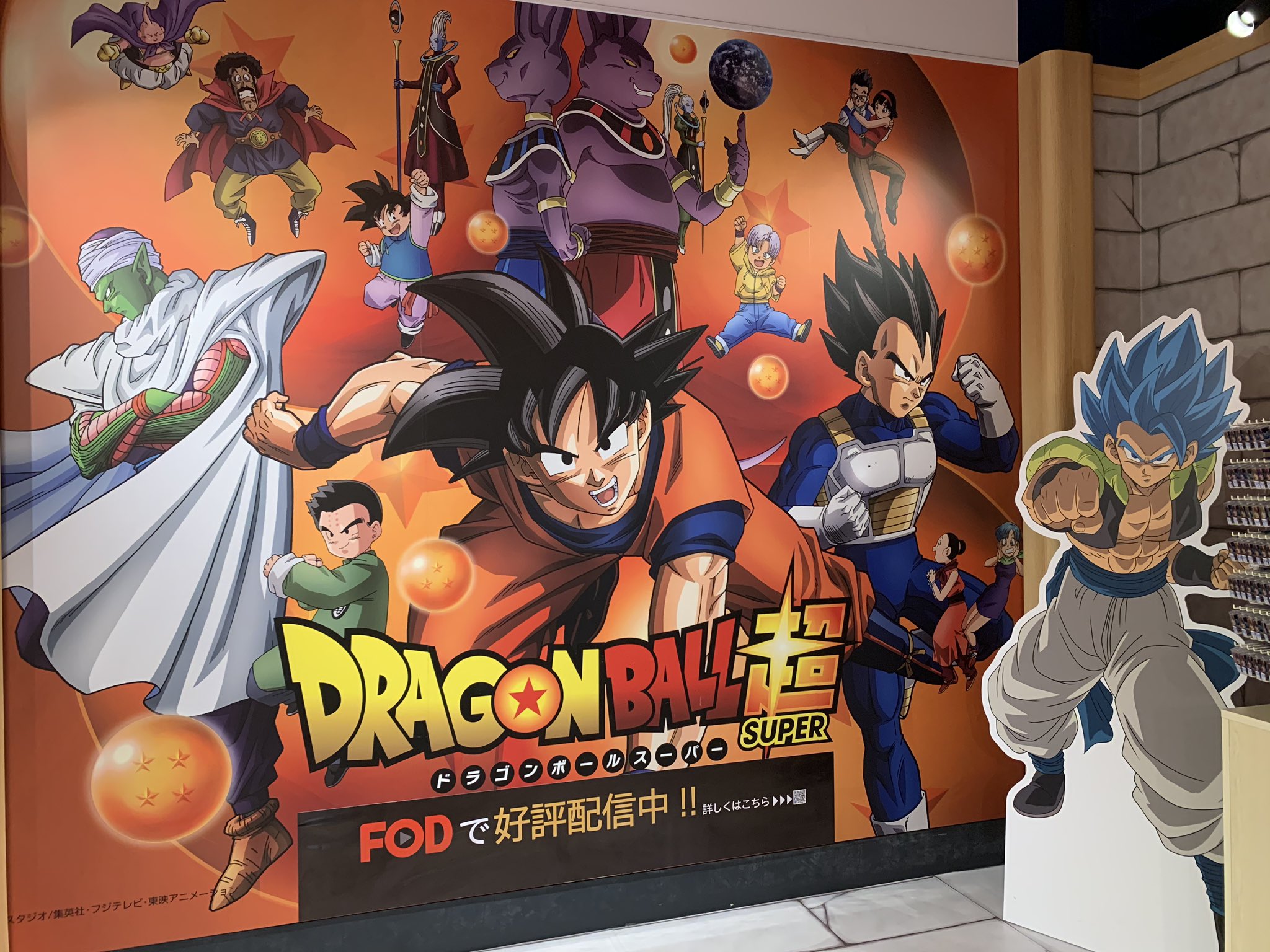 日清シスコ　ドラゴンボールZ 仙豆ビスケット抽選当選プレゼントジャンボキラカード 日清シスコ ドラゴンボールZ 仙豆ビスケット抽選当選プレゼント