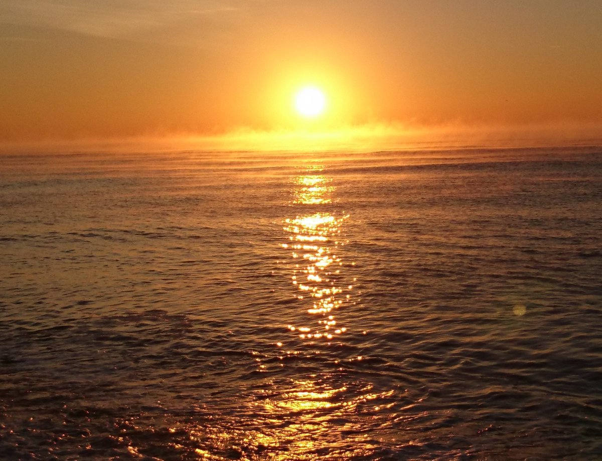 saraqueenofarts's tweet image. Easy does it, slowly catch the monkey!! Bide your time because the perfect time to act or pursue a venture will be slung into your hands in the near future. It is less important to know when but more to know that 'It Will'.  #bepatient #catchthemonkey #da saraperrypsychic.co.uk/2020/03/21/day…