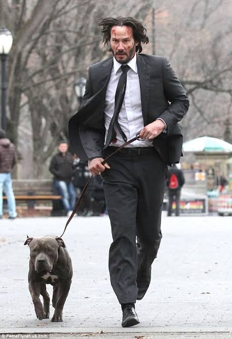 Oluwafadererami's tweet photo. Kill John Wick's dog 

or

Kill Klaus's daughter https://t.co/lQ0Df3HdOB
