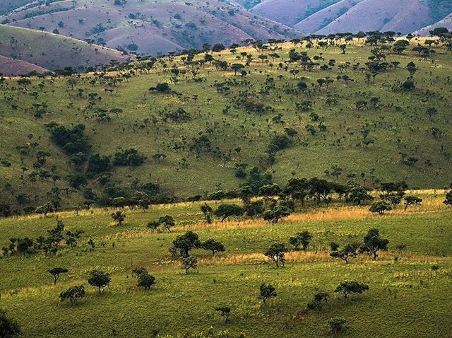 Rwandalicious (@rwandalicious) on Twitter photo 