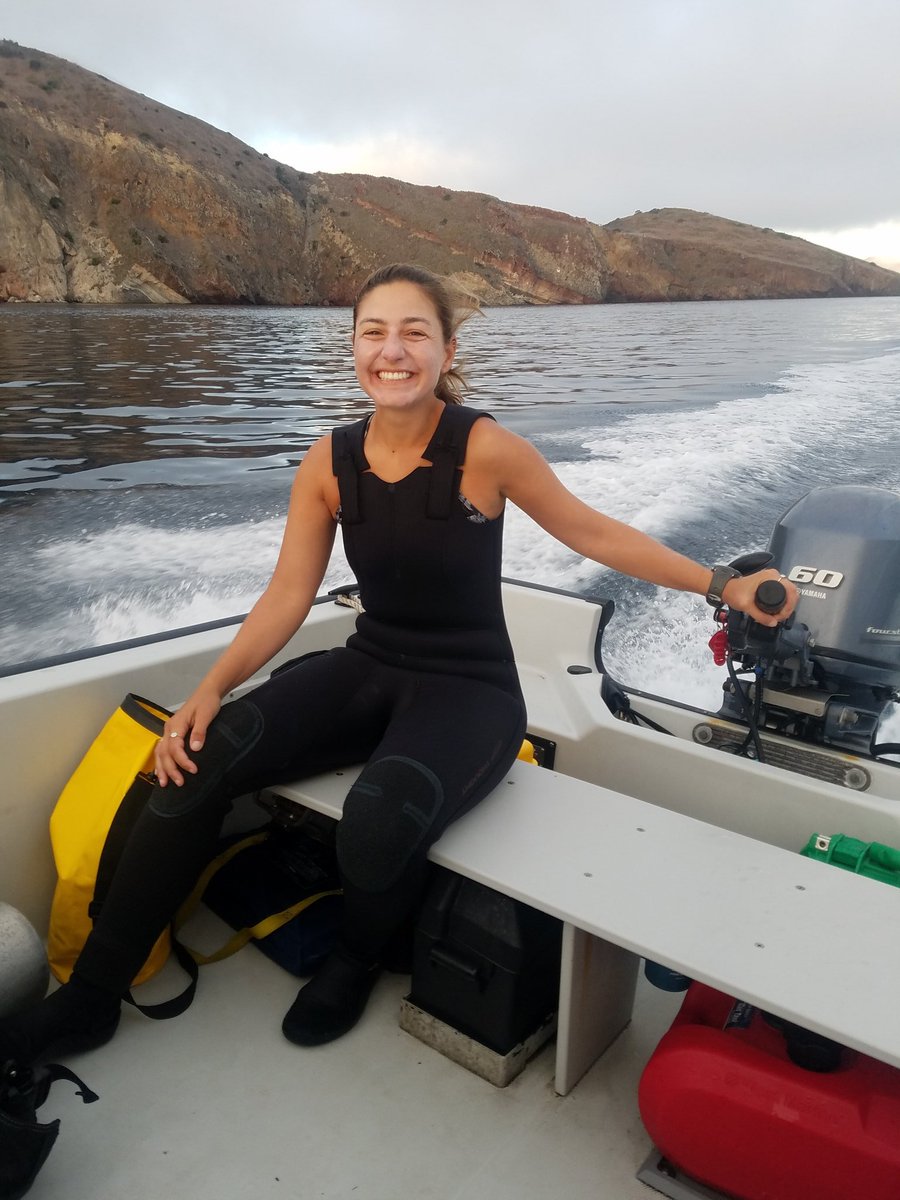CSUNMBGSA's tweet photo. She is also assessing the possibility of affects on growth and reproductive output of rock wrasse by looking at their #otoliths & counting hydrated eggs. Last photo is of Kathryn driving out to her sample sites at Catalina Island. #MBGSA #scicomm #csun https://t.co/lMMBLKYzLs