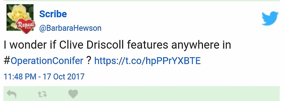 Driscoll's list of detractors and those who would throw a spanner in his works is long and motley and includes Barbara Hewson, Stephen 'Leveson' Wright of the Mail, cycling mate of the Met's Paul Settle who both made U-turns on VIP paedos, and Bettison.  https://www.bbc.com/news/uk-17383840