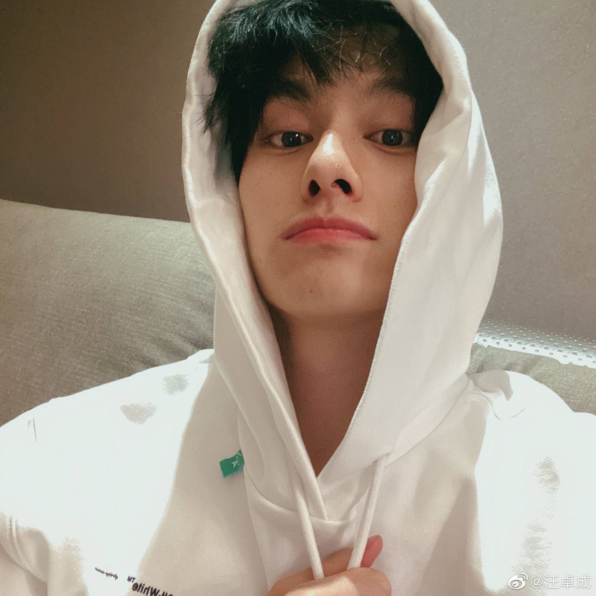 wang zhuocheng being the boyfriend that he is; a (very necessary) thread