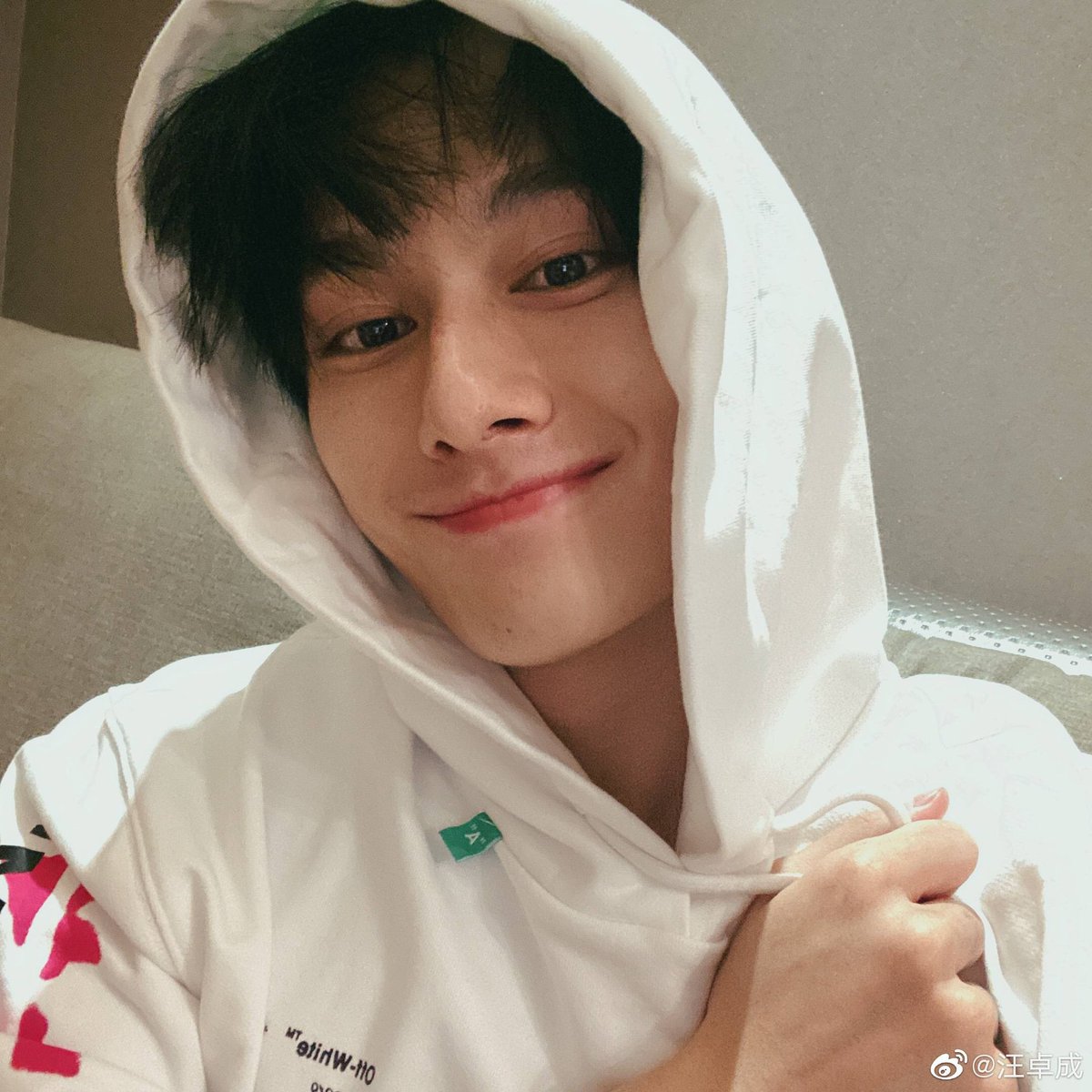 wang zhuocheng being the boyfriend that he is; a (very necessary) thread