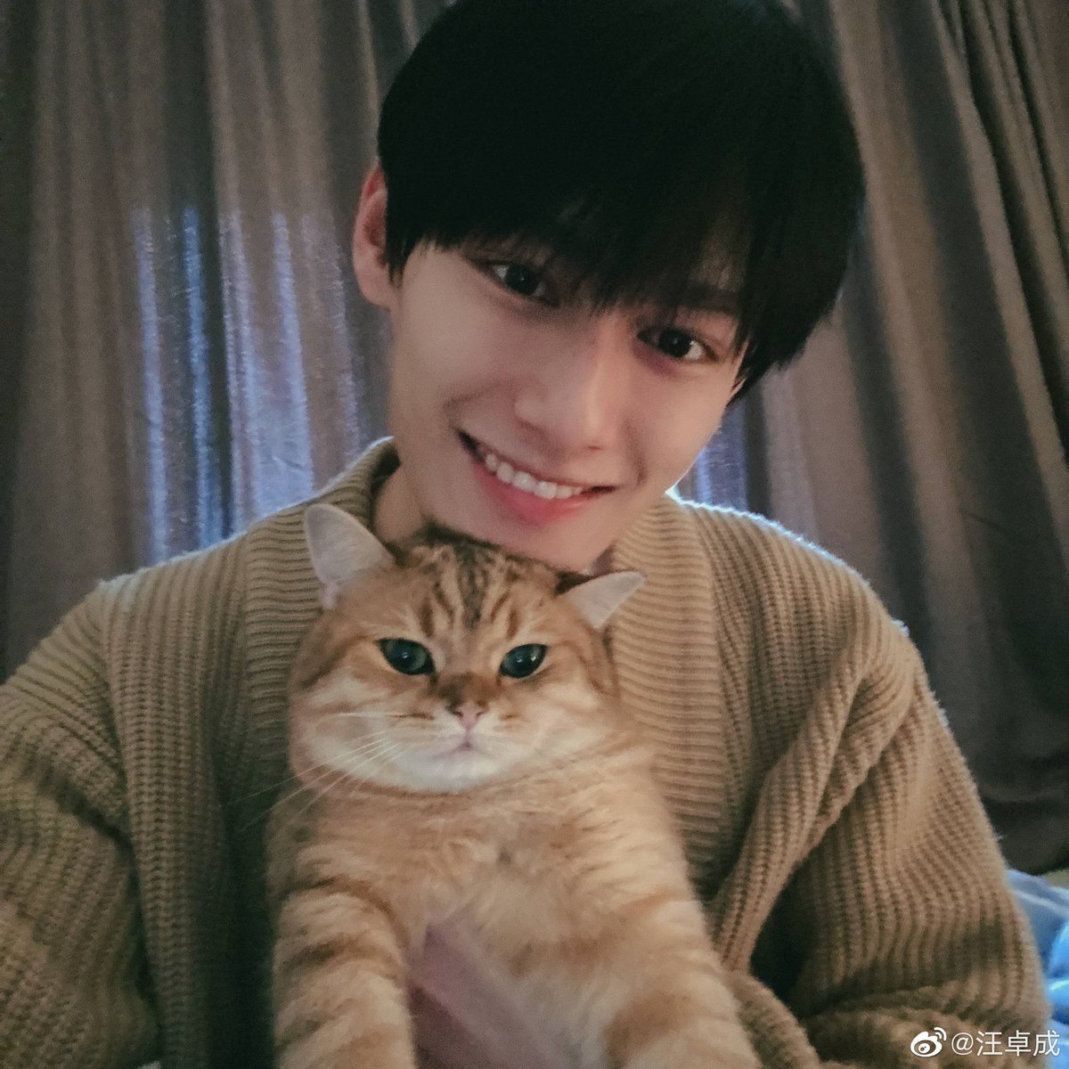 wang zhuocheng being the boyfriend that he is; a (very necessary) thread