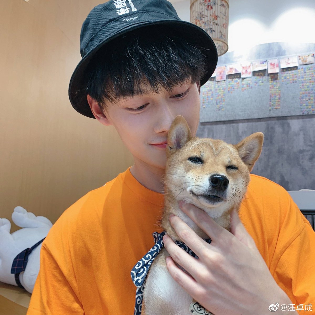 wang zhuocheng being the boyfriend that he is; a (very necessary) thread