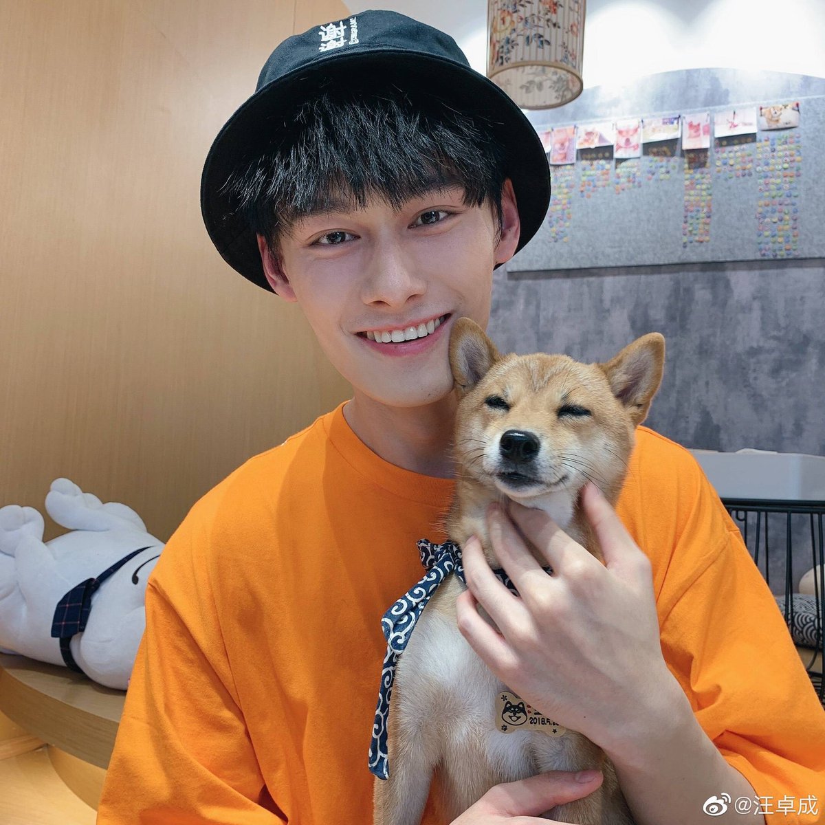 wang zhuocheng being the boyfriend that he is; a (very necessary) thread