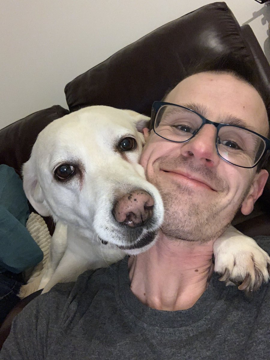 fergusmcbride's tweet photo. In these difficult times, Poppy is available for hugs...and kisses!! #coronavirusuk https://t.co/7hG11R3ads