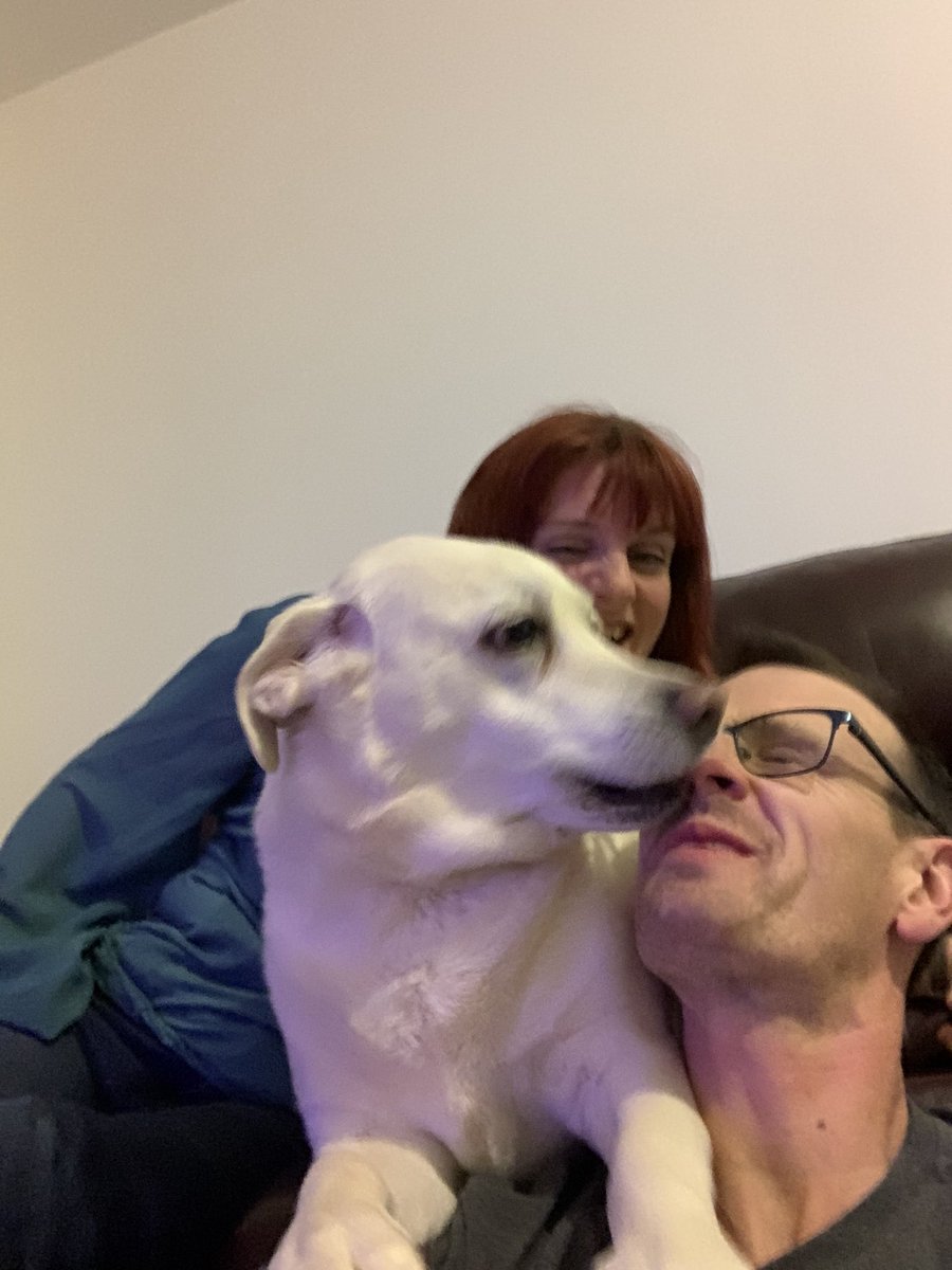 fergusmcbride's tweet photo. In these difficult times, Poppy is available for hugs...and kisses!! #coronavirusuk https://t.co/7hG11R3ads