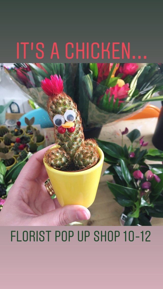 GeekBothy's tweet photo. We are still Open 10-4...feel free to stock up on the rest of the year’s birthdays...too early for Christmas shopping...!? 🌿🌸🎁🌼💝 Mother’s Day tomorrow and we have cards, gifts and our pop up florist shop this morning!  Please pay by card in the Bothy or exact money 🥺💞 https://t.co/vml4m46QPy