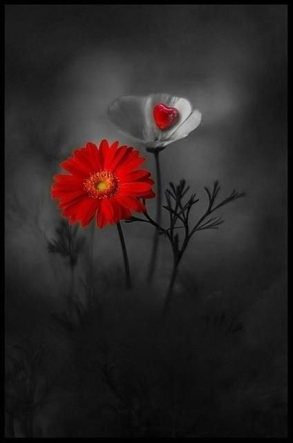 Love will hold us together, through the splinters &amp; cracks of life, dreams &amp; fears listened to, your allowed to scream &amp; cry.Encourage one another, to help smile through the tears, stronger together, a choice we have, you make the world a better place, just listen to your heart❤️