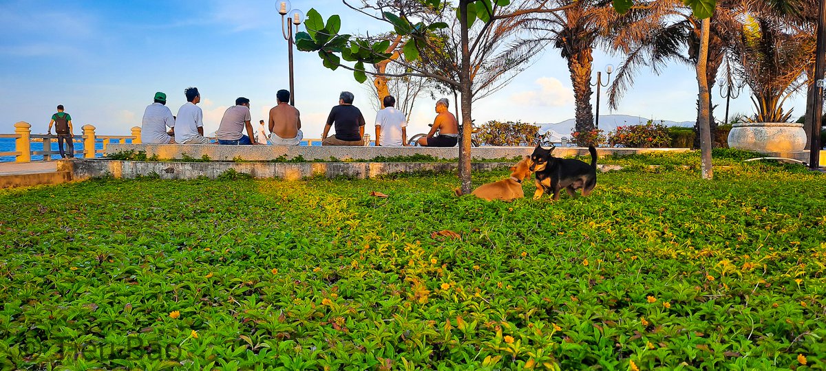 Vitieub54526311's tweet image. Lại đây anh hôn cái nào...
#vtbstudio
#vtbmultimedia
#muonmaucuocsong
#A51
#dongvat
#nhatrang
#photography