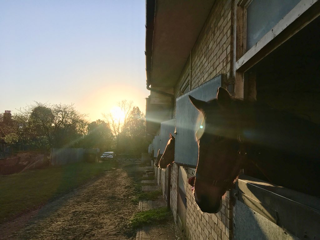 JohnWathenBerry's tweet photo. Splendid morning @NewmarketGallop but colder than it looks. Currently 3 degrees. East wind which we don’t often have, but it’s always cold when we do #Delatite @Roy__Rocket #HopeIsHigh https://t.co/kwVGU3sZ29