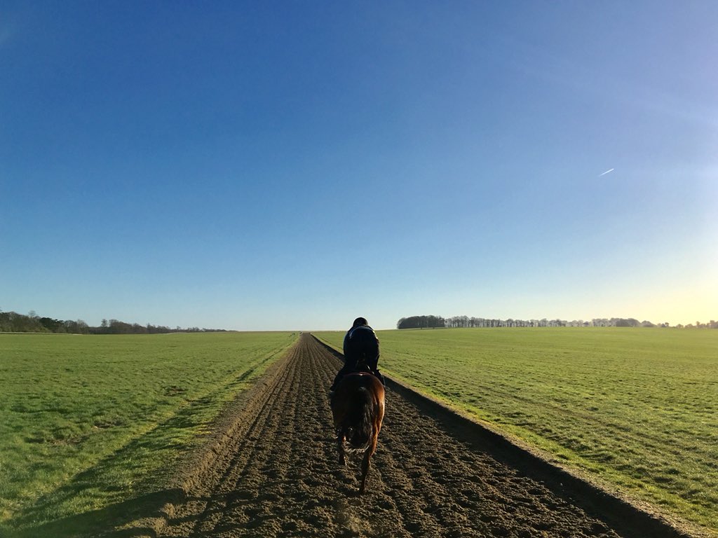 JohnWathenBerry's tweet photo. Splendid morning @NewmarketGallop but colder than it looks. Currently 3 degrees. East wind which we don’t often have, but it’s always cold when we do #Delatite @Roy__Rocket #HopeIsHigh https://t.co/kwVGU3sZ29