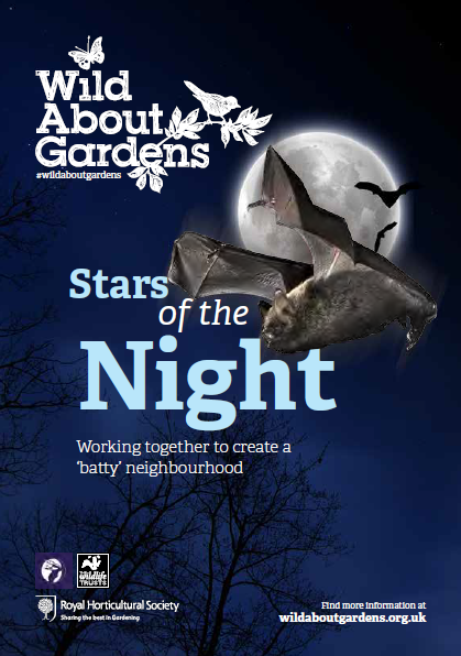 Bat Conservation Trust tweet media