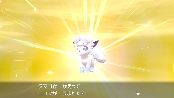 アローラロコン の評価や評判 感想など みんなの反応を1時間ごとにまとめて紹介 ついラン