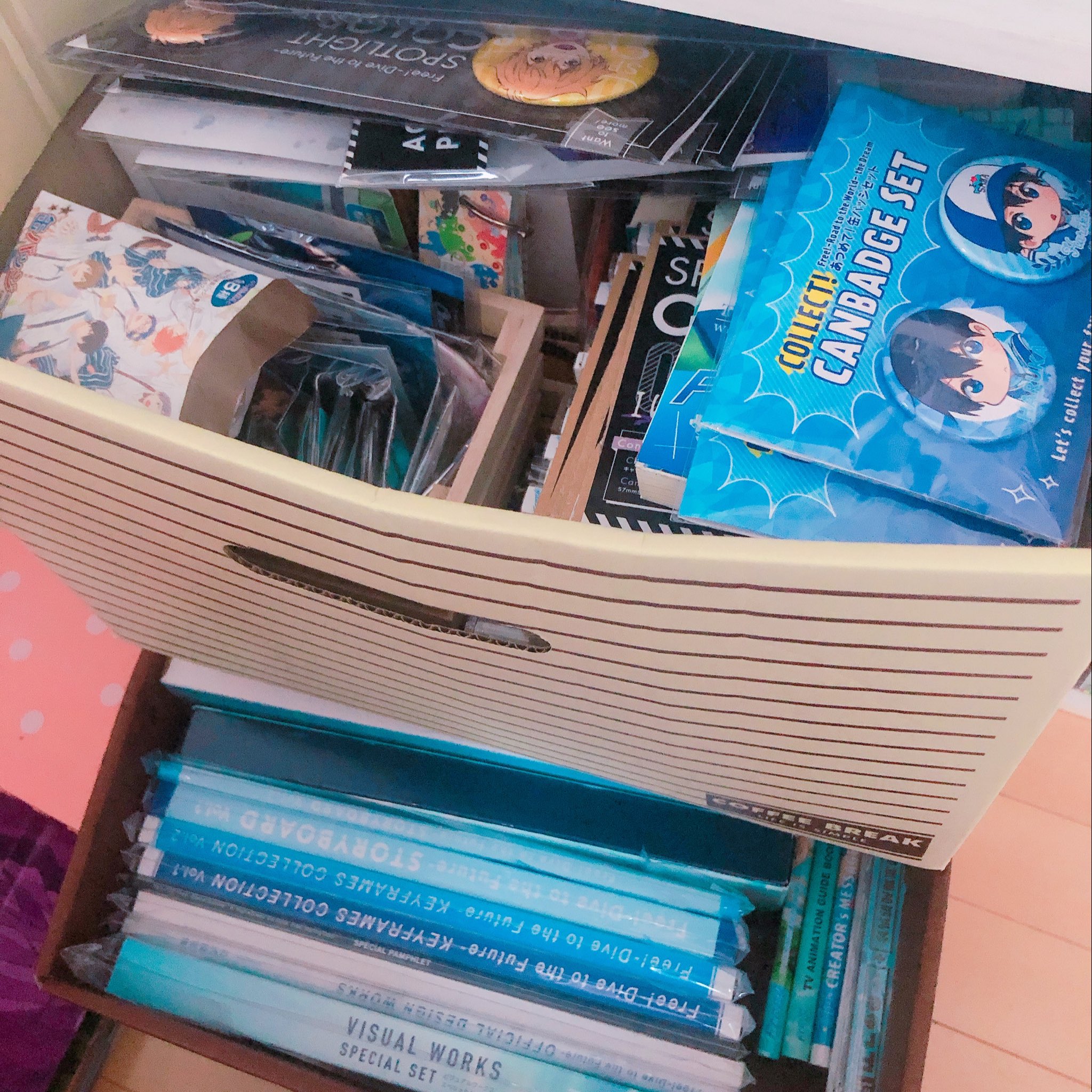 み子 カラーボックスの2 3段目はカラーボックス用の収納箱 これも100均 にいろいろ片付けてる 書籍は出す時重いので下の段 上には細かいグッズとか これを反対側のカラーボックスにも同じように片付けてるからかなり収納になる 引き出しになってるから