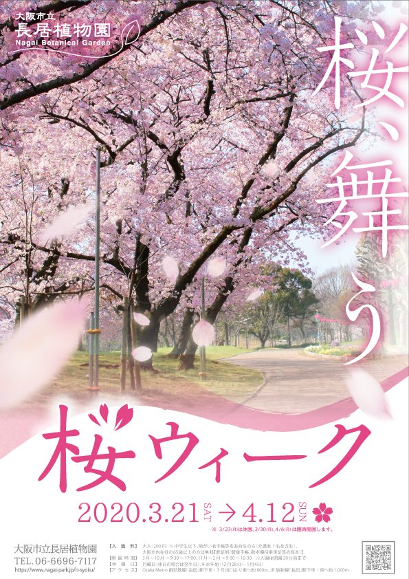 長居植物園 Auf Twitter 春の風物詩 桜 長居植物園内の桜は 人気の高い ソメイヨシノ の他 開花時期の異なる桜が次々と見頃を迎えます 詳しくはチラシ裏面の桜品種一覧をご覧ください 春休み期間中の3 30 月 と4 6 月 は臨時開園いたします
