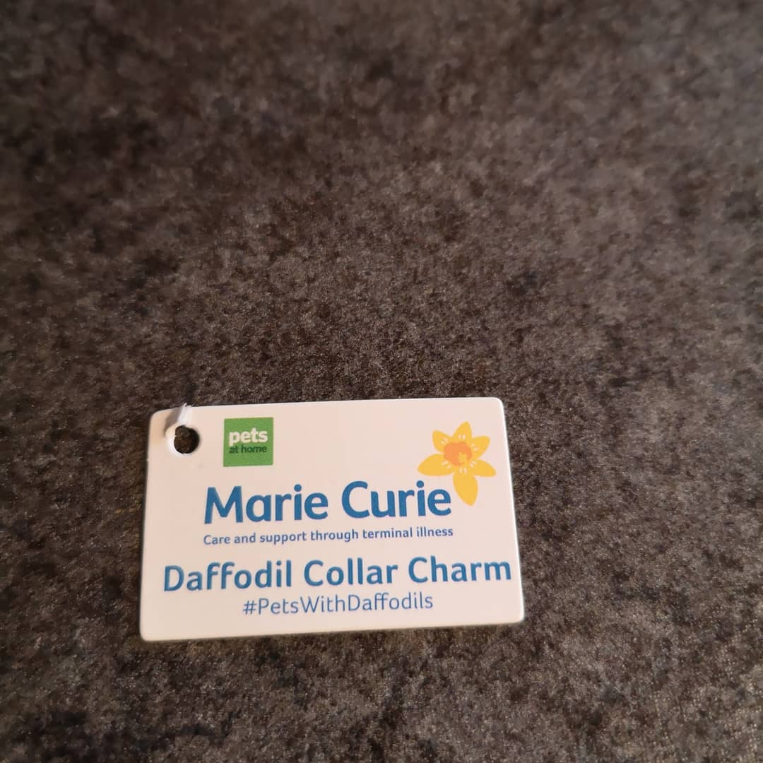 QUINN91250478's tweet photo. #GoodMorning I hope you are all safe and well. Here's me sporting my @mariecurieuk #daffodilcharm @petsathomeuk #raisingfunds #raisingawarenes
I hope they make you smile #dogsoftwitter #dogcelebration https://t.co/m5cHIX7CcK
