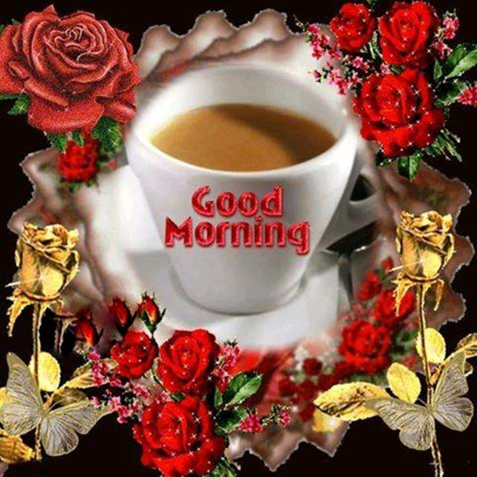 yasmayanirmin's tweet photo. Touu have weekind
Non🌹🌹🌺🌼 https://t.co/sA68YNgAb4