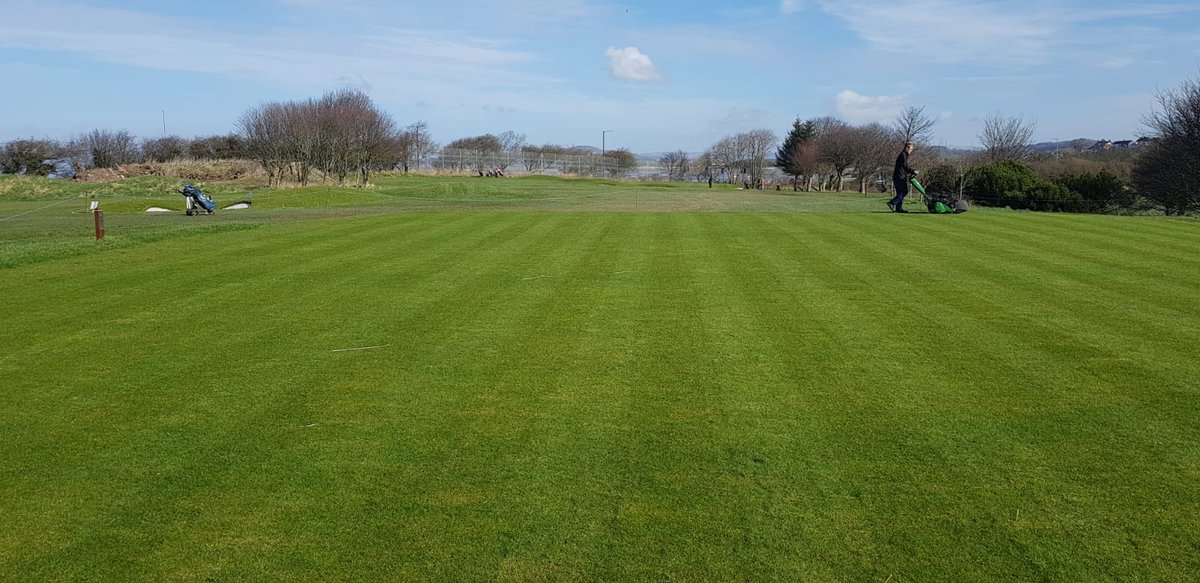 MorecambeGCgreens tweet media