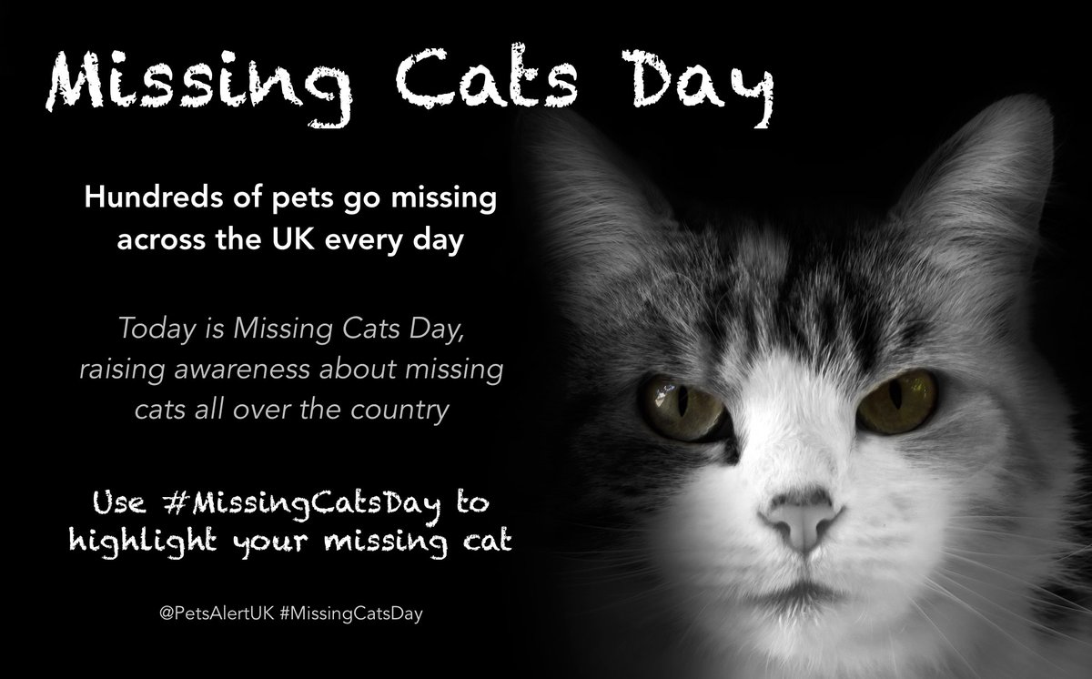 #CatsAreFamily
Remember missing cats🐈's on 21st March 2020 #MissingCatsDay and spare them a ReTweet/Share
Use the hashtags #MissingCatsDay #MissingCatsUK with photos/poster of your missing #cat🐈
#ScanMe #CheckMyChip #CatsAreFamilyToo