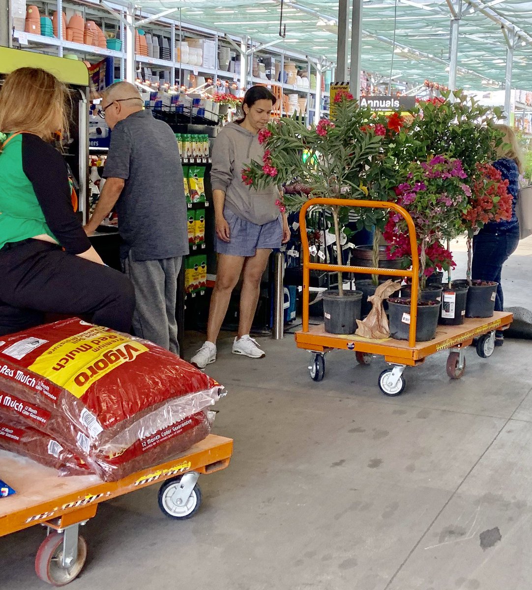 Willycostafarms's tweet photo. 3331 Doral Loaded with Plants Shoppers are out weather Nice!! https://t.co/E4tmyDPIHj
