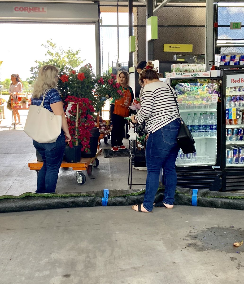 Willycostafarms's tweet photo. 3331 Doral Loaded with Plants Shoppers are out weather Nice!! https://t.co/E4tmyDPIHj