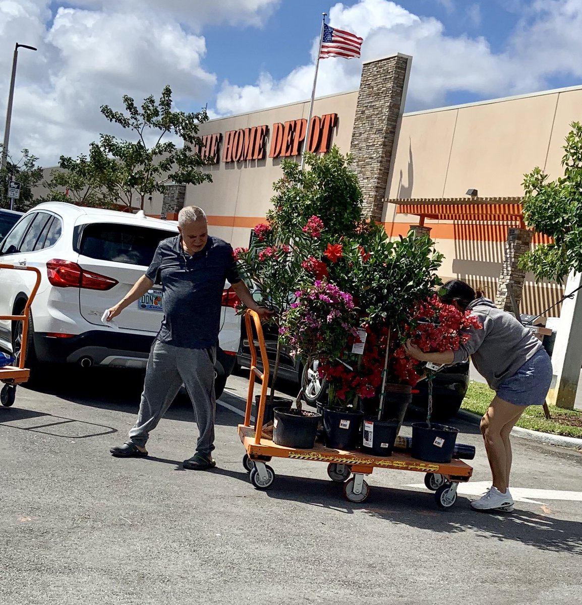 Willycostafarms's tweet photo. 3331 Doral Loaded with Plants Shoppers are out weather Nice!! https://t.co/E4tmyDPIHj
