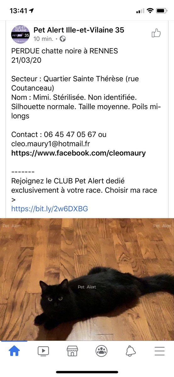 FCK_1994's tweet photo. Slvp partagez c’est mon chat, je pense que si on partage tous il y a moyen de la retrouver, ça vous coûte rien ! #RENNES #ChatPerdu https://t.co/hDNTIaahRd