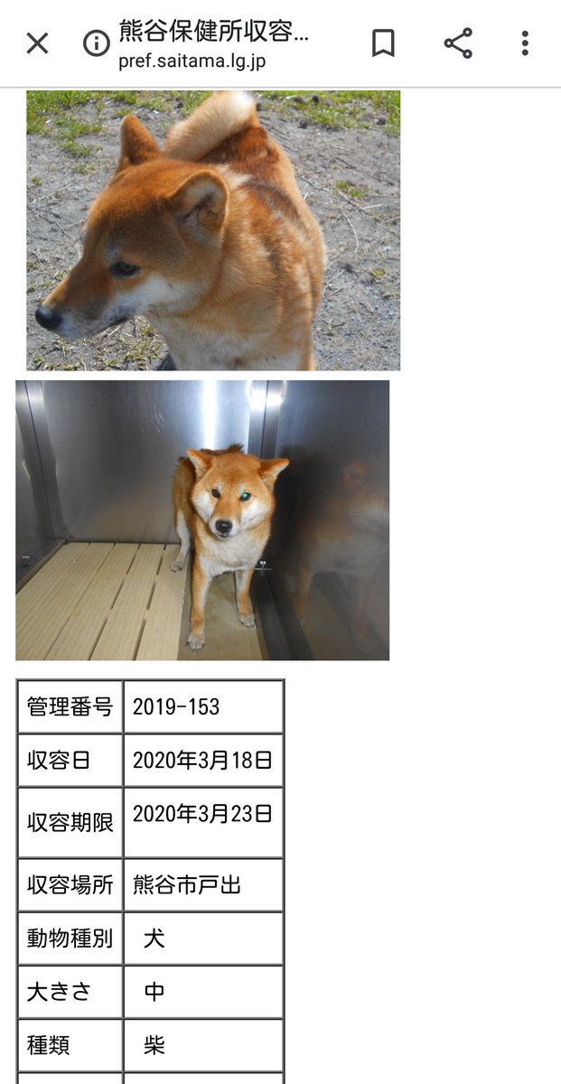 熊谷保健所 熊谷保健所