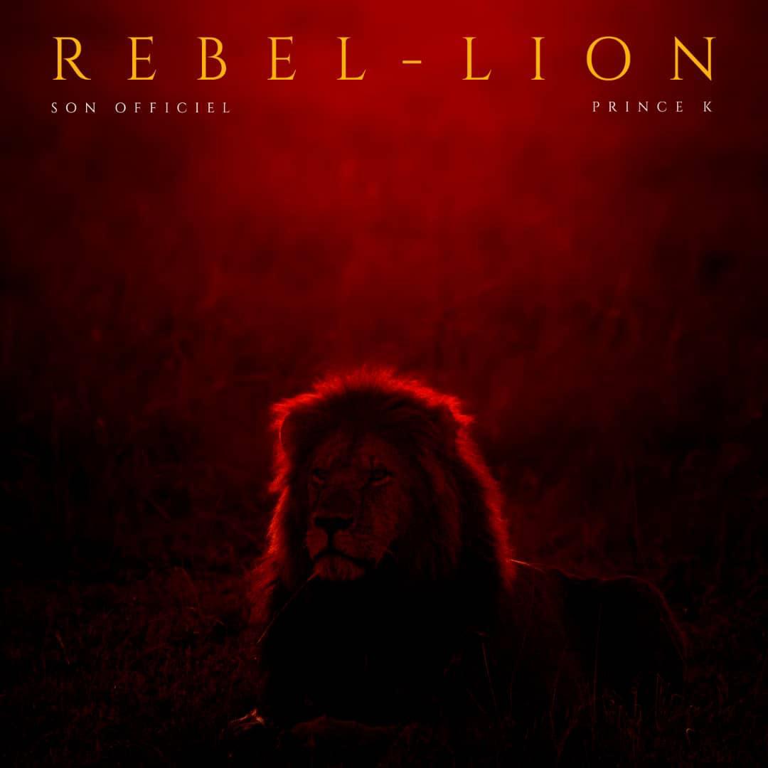 SentinelledeFeu's tweet photo. Ça y est, REBEL-LION est sorti 🔥🔥🔥
Voici le lien: https://t.co/eUqvELtjS6
Ne t'enjaille pas seul, partage ✨🙌🏽 #SDFEU🔥 #PrinceK #Rebel_Lion https://t.co/uxbK5y5Hax