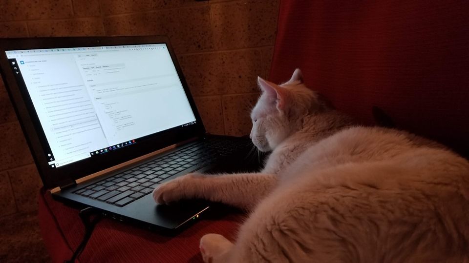 Tricky Fast’s Mike Handverger is offering free consulting to managers and executives looking to move their workforce remote due to the COVID-19 pandemic. 
Drop him a line to schedule at mike@trickyfast.com
#workingfromhome #teamwork #socialdistancing #gamingnews #indiedev