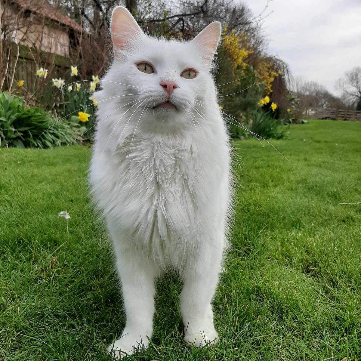 We have come to a difficult decision following government advice to close until further notice. If you have a booking query please get in touch via email or contact me through our website. Stay strong and stay safe everyone! #staysafe