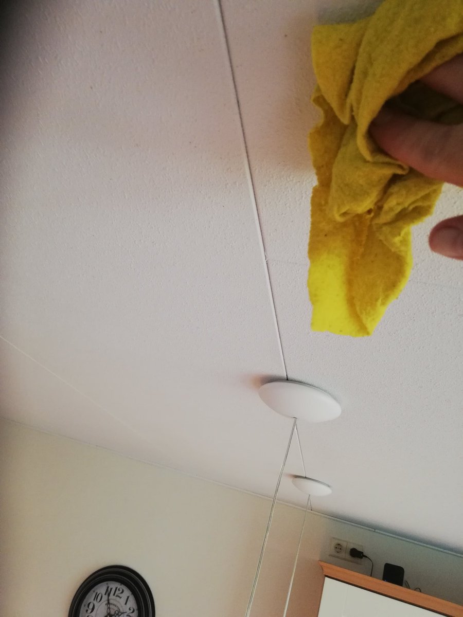 Het nuttige met het onaangename verenigen. Plafond soppen.#blijfthuis #waaromschijtenvliegenuberhauptophetplafond #wetvandezwaartekrachtnietvoorvliegenstront