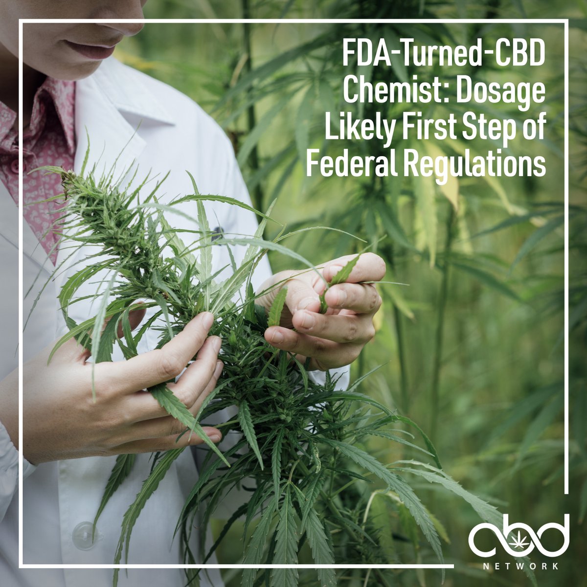 cbdnetworknews's tweet photo. One of Colorado's largest #hemp producers is plucking professionals from the same government departments that regulate cannabinoids, recently hiring former FDA chemist Dr. Daniel Connors to help lead the company's #research and #development work. -Westword
.
.
#CBD #Colorado #FDA https://t.co/8343YJJduh