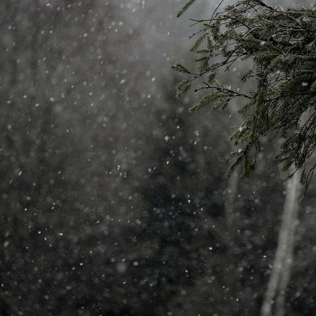 wyrypy's tweet photo. Kiedyś padał śnieg...
Pamiętacie?

#snow #śnieg #zaoknem #kwarantanna #wiosna #beskidy #beskidcieszynski #zapasieki #zapasiekigorne https://t.co/WGGdoRR8NW