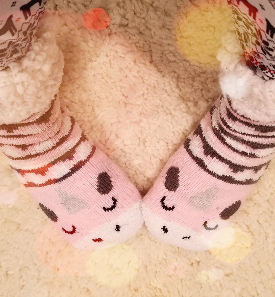 Norma Carbone tweet media