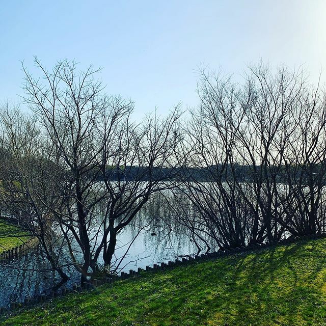 tawatawa_2020's tweet photo. 人混みを避けて
#art_of_japan_ #photo_jpn #bestphoto_japan
#kids_japan #IG_phos
#jp_mood #igs_photos #IGersJP
#lovers_nippon #japan_daytime_view
#ig_japan #bestjapanpics_
#love_bestjapan #team_jp_ #whim_fluffy
#daily_photo_jpn
#rox_captures
#広がり同盟
#pt_life_ #_l… https://t.co/pg7ZKSXa4G