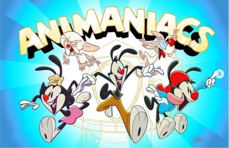 Animaniacs Dot Princess Image Dot Warner Png Animaniacs Animaniacs Dot Cartoon Art Styles