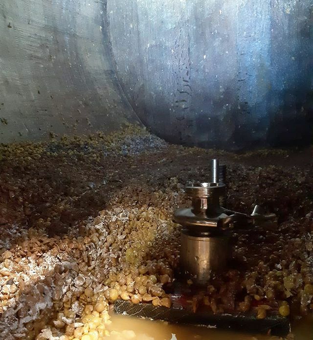 Ca' del Brado tweet media