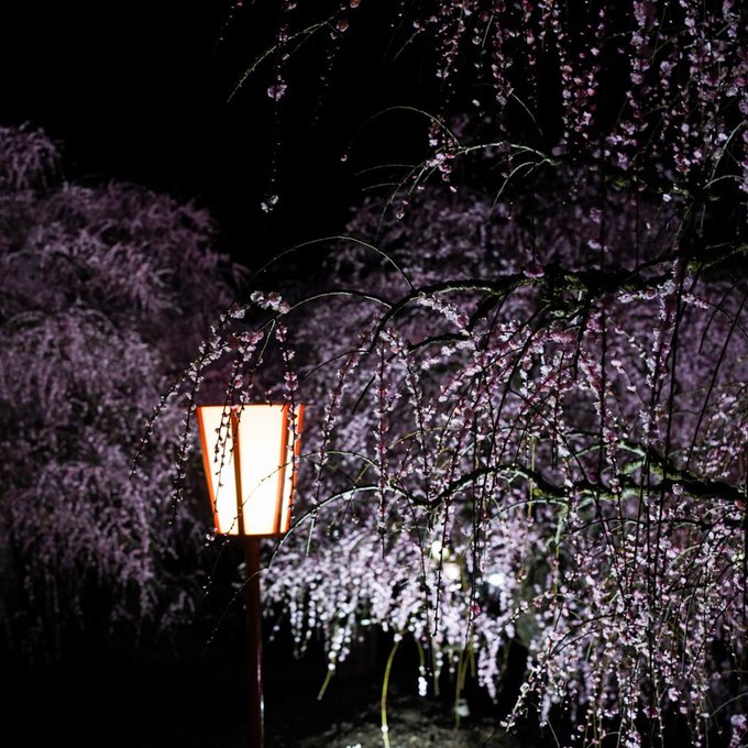 鈴鹿のtwitterイラスト検索結果 古い順 鈴鹿のtwitterイラスト検索結果 古い順