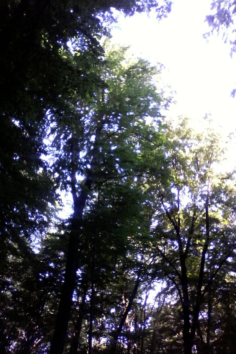 Büki Katalin tweet media