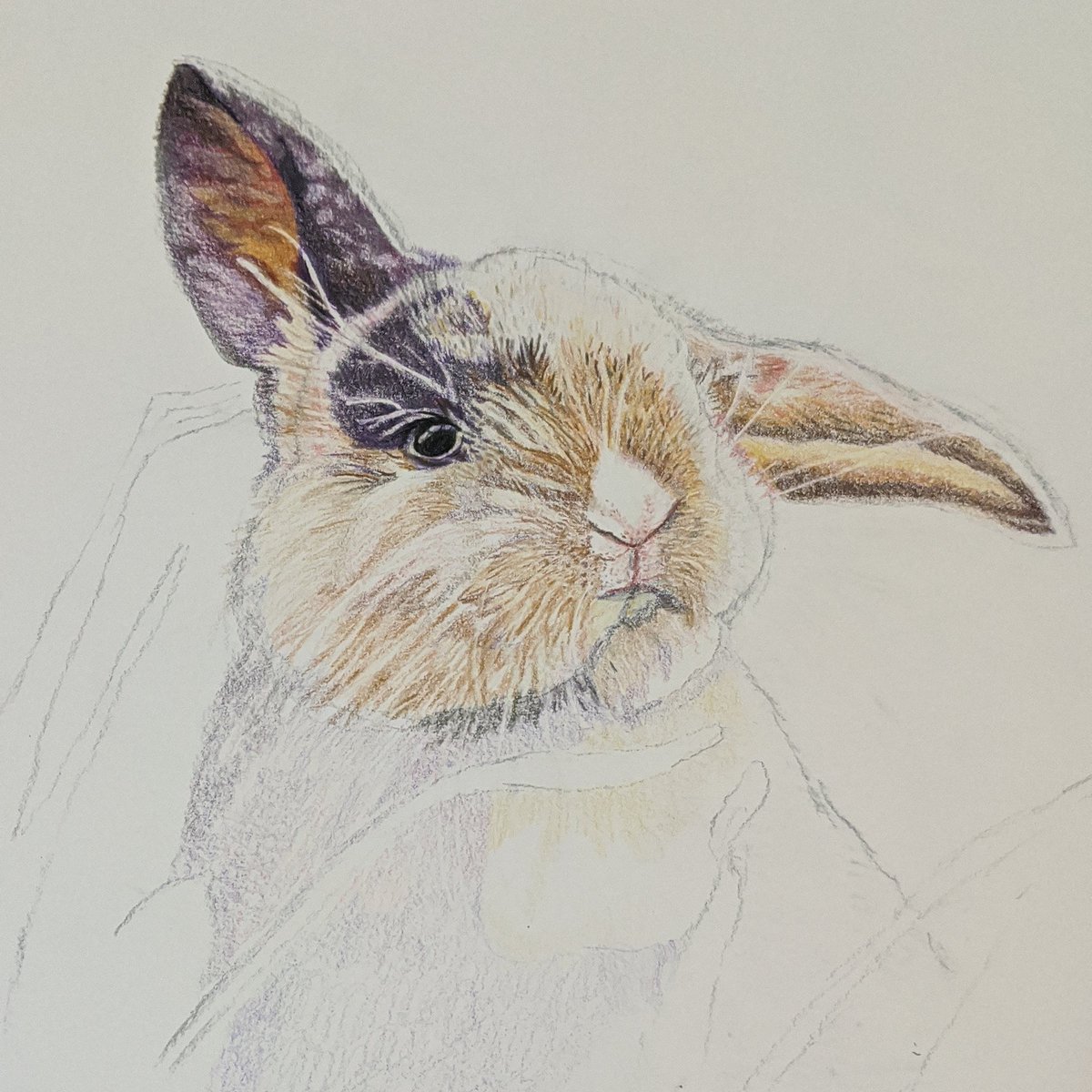 This weekend it's all plants and bunnies 🌿🐇
Finally finished the plant collection and hope to have it online soon.
#workinprogress #artinprogress #bunnyart #woodlandprint #bunnyrabbit #honeybunny #nurserydecor #nurseryinspo #nurseryroom