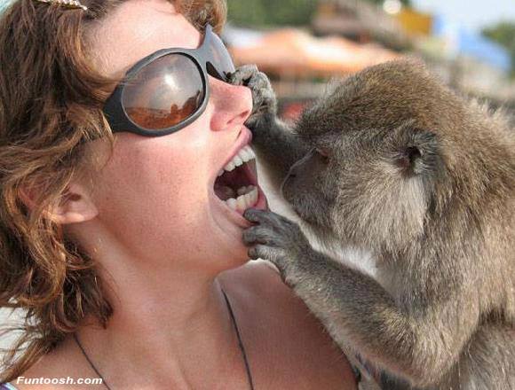 devonsdentist's tweet image. Is it time your dental health check? Book your appointment today - bit.ly/1TQ1qpV