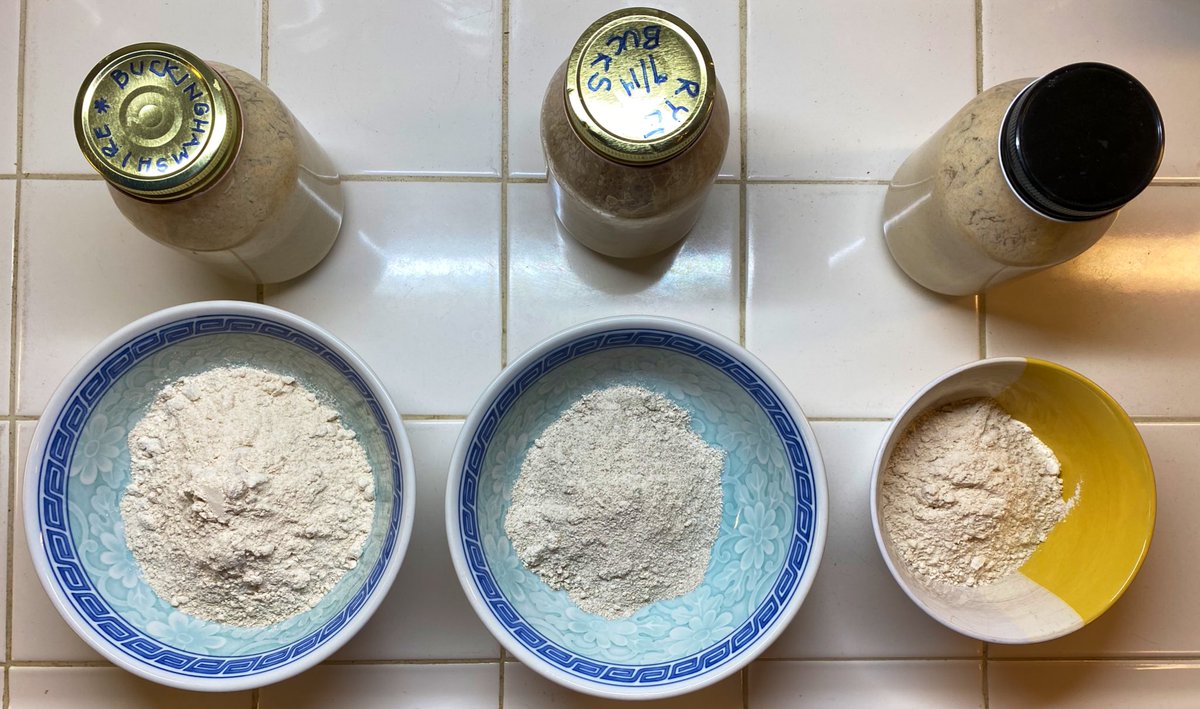  #QuarantineBakeIn I’m making three levains for three types of breads- a normal everyday sourdough (100% Emmer) a 100% Rye and an Old Kingdom “BDJ3.” You can see the colors are different, so are the aromas. The Egyptian yeast has a very distinct “nose.” (It’s smelly)