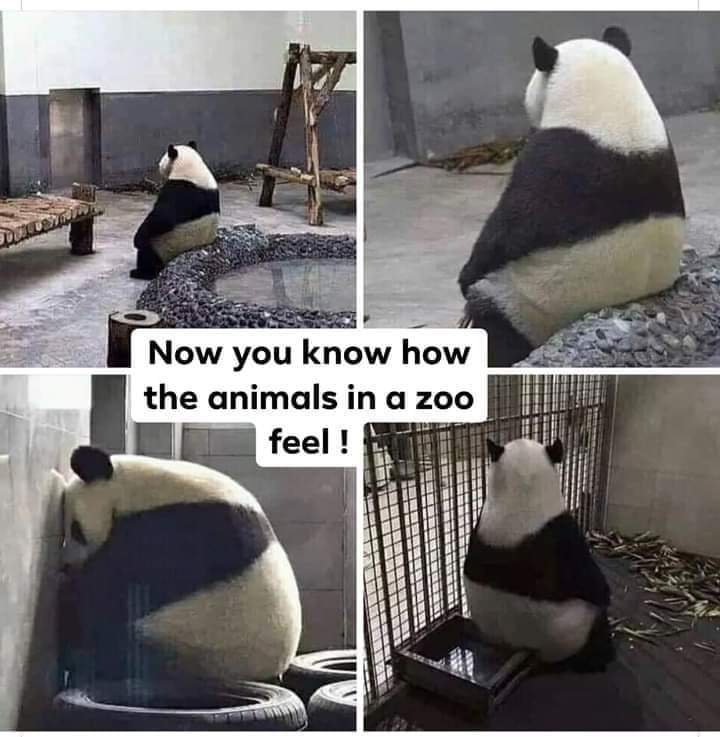 mcfso's tweet image. So right!